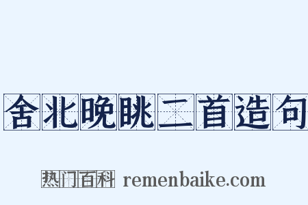 舍北晚眺二首造句是什么意思的图片